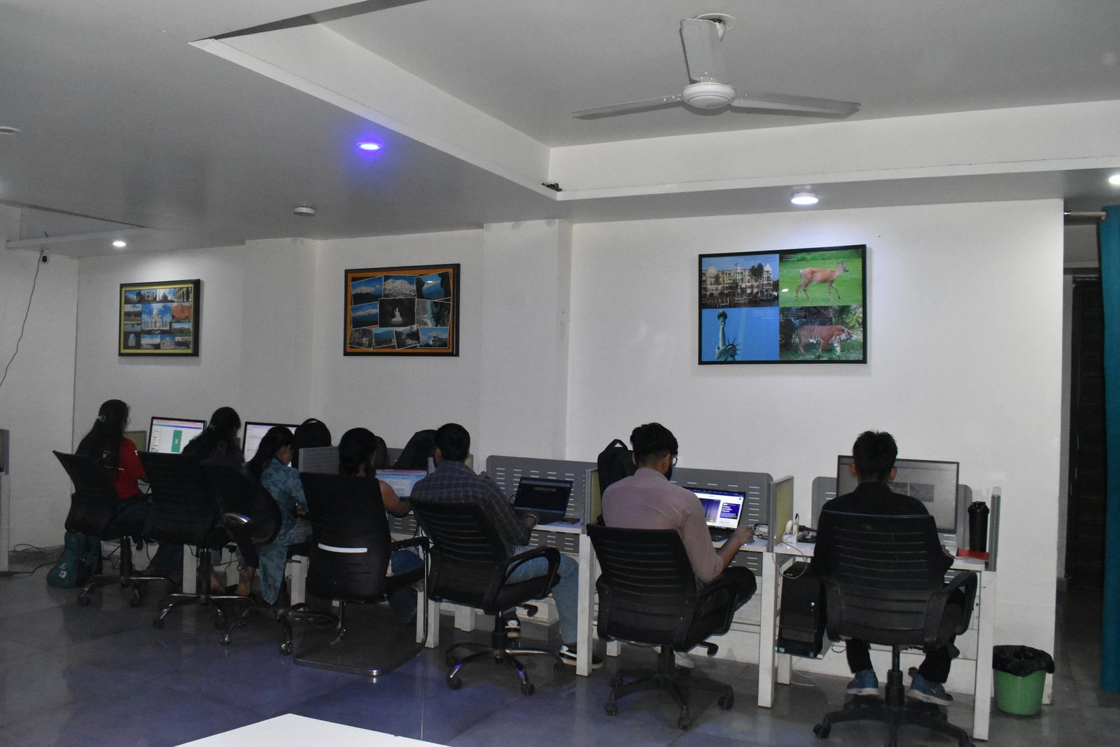 Our Office